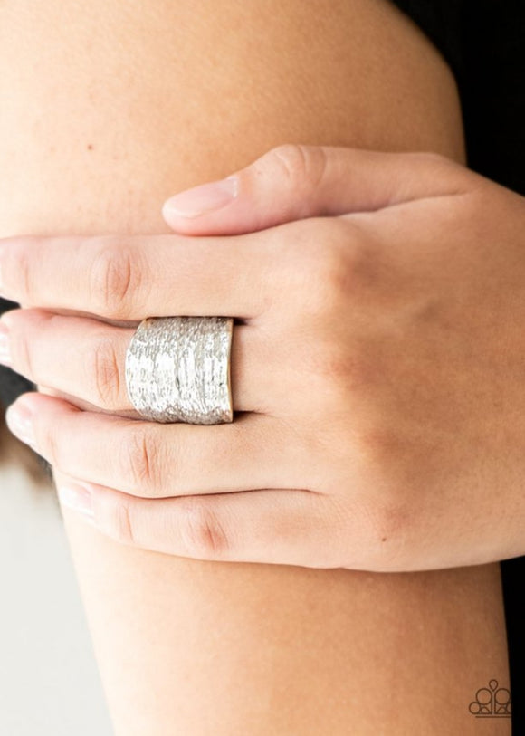 Paleo Patterns  - silver